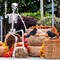 Posable Skeleton with Movable Joints Halloween Full Body Plastic Human Skeletons with 2PCS Black Crows for Halloween Indoor Outdoor Decor
